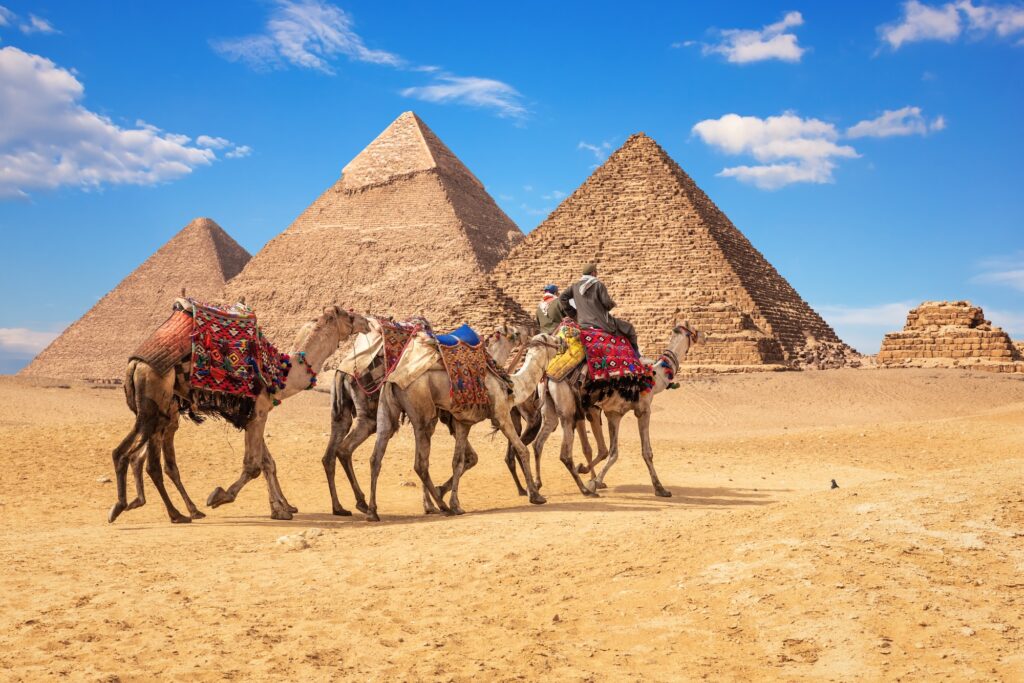 Bedouins on camels in front of the famous Giza Pyramids