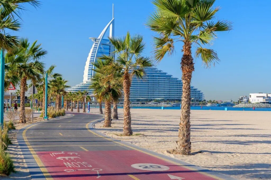 Palm-lined bike path along the coast with cyclists and joggers at Kite Beach Dubai