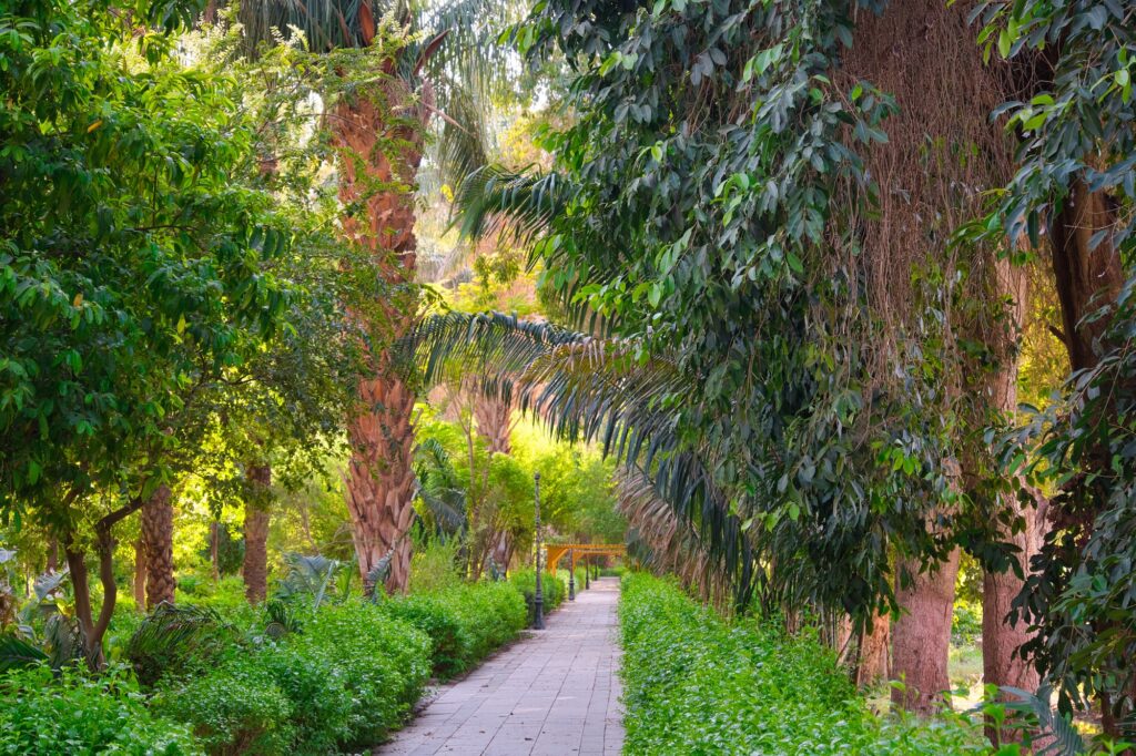 Botanical garden at the Kitchener's Island in Nile river, Aswan, Egypt
