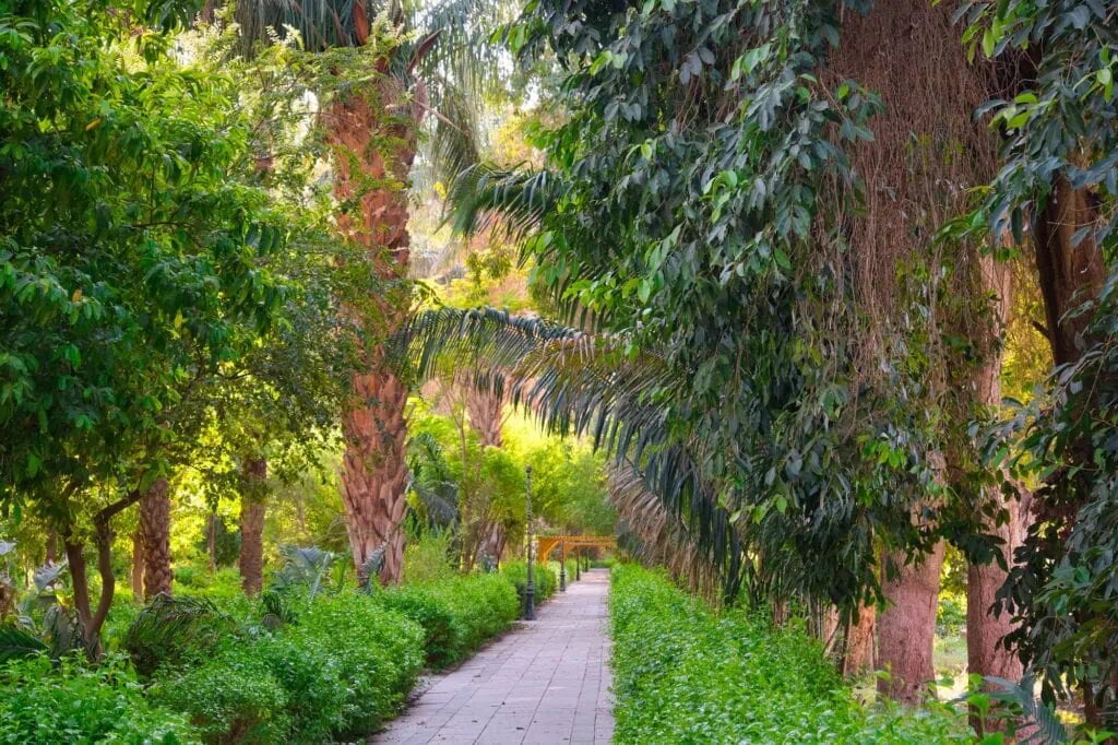 Botanical garden at the Kitchener's Island in Nile river, Aswan, Egypt