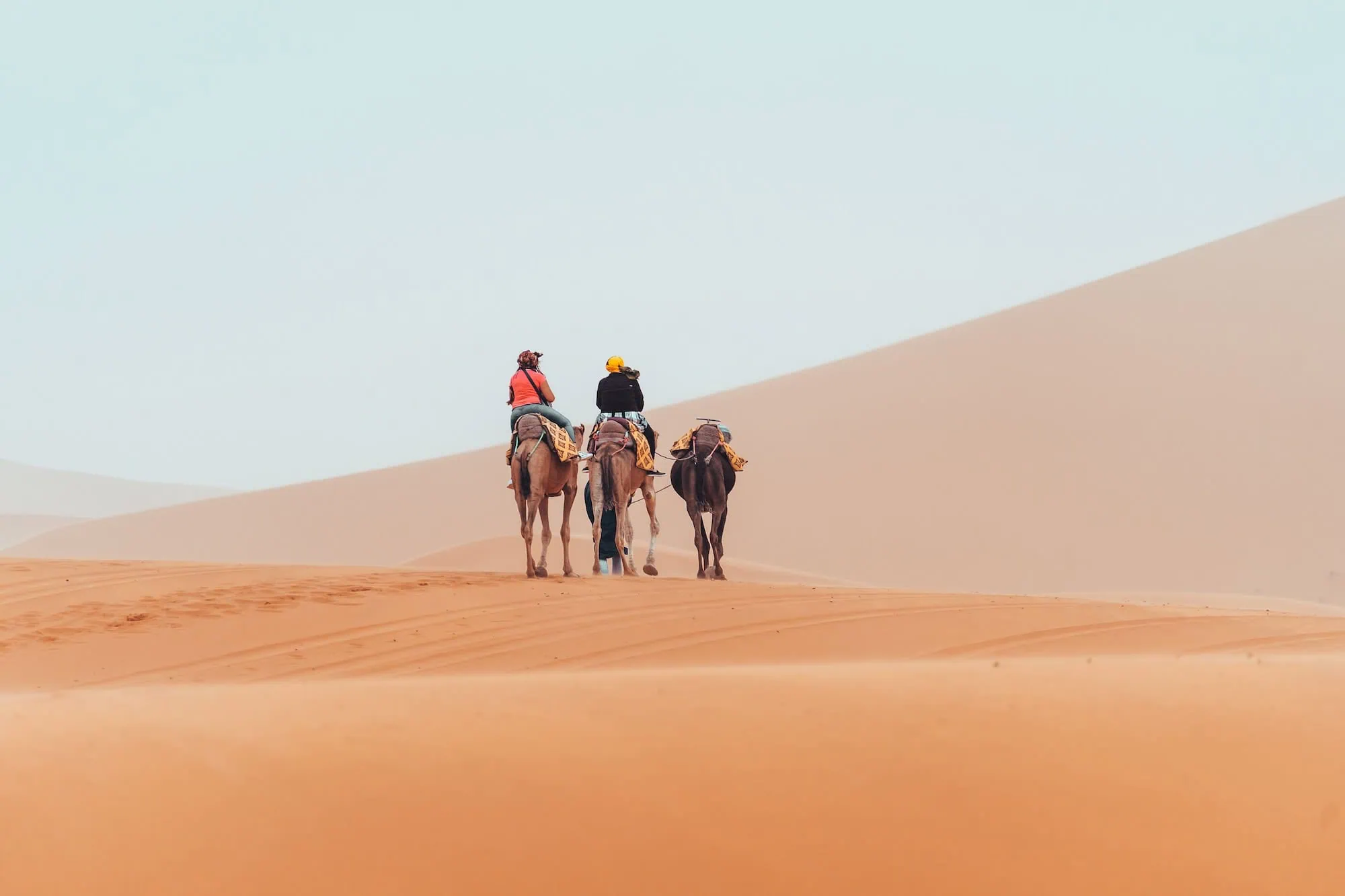 Tourists riding camels through sand dunes in the Sahara Desert