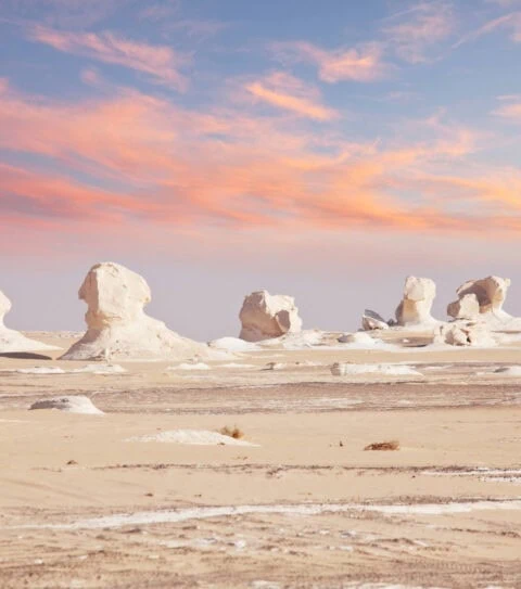 Sahara Desert Attractions - Chalk Formation In White Desert, Egypt