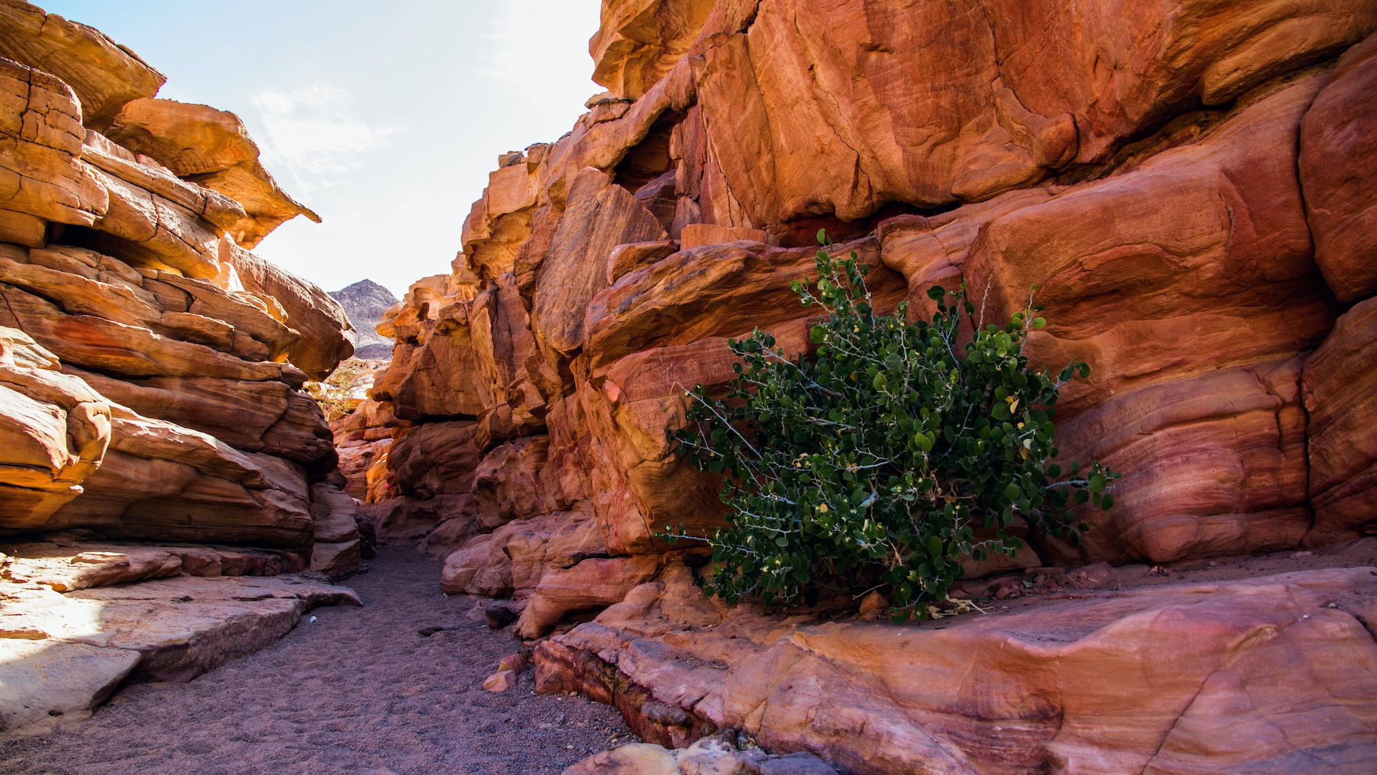 Dramatic red sandstone cliffs and rock formations in desert canyon landscape