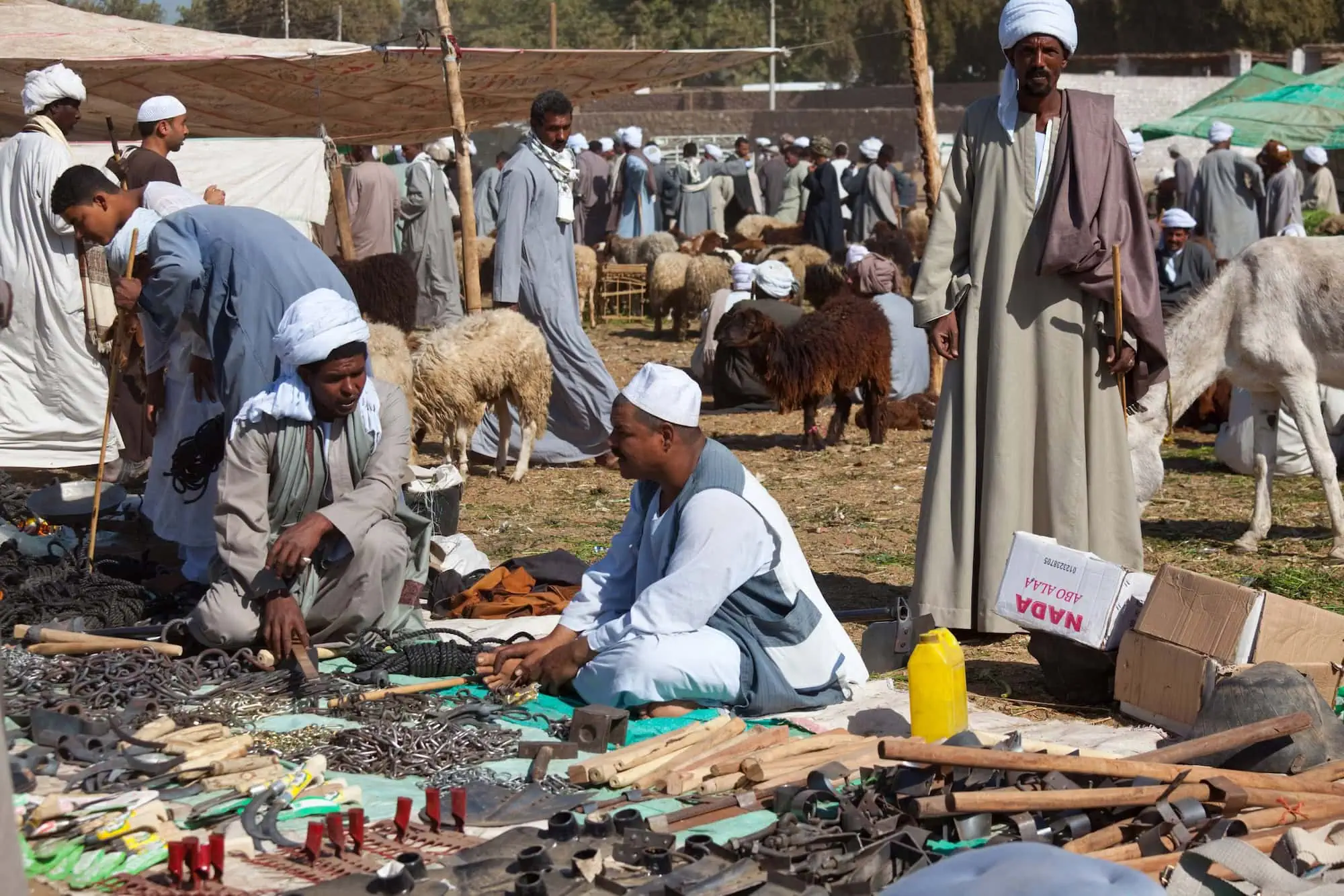 Traditional merchants in robes trading camels and livestock at Daraw market