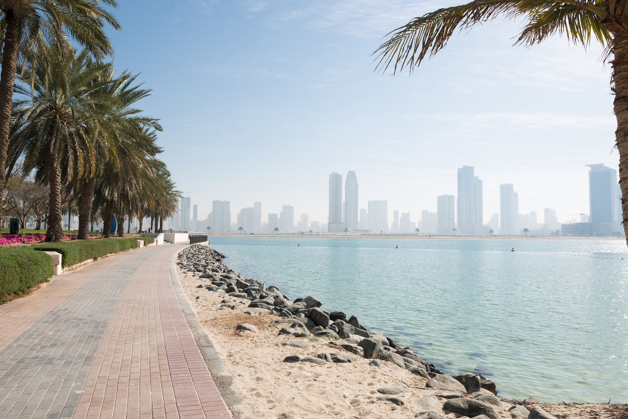 Dubai Marina waterfront promenade with palm trees and city skyline