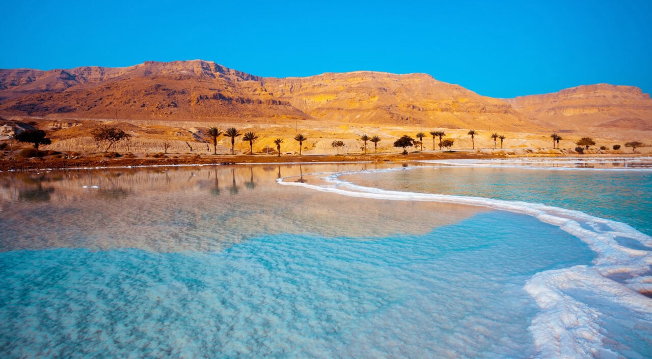 Dead Sea seashore with palm trees and mountains on background