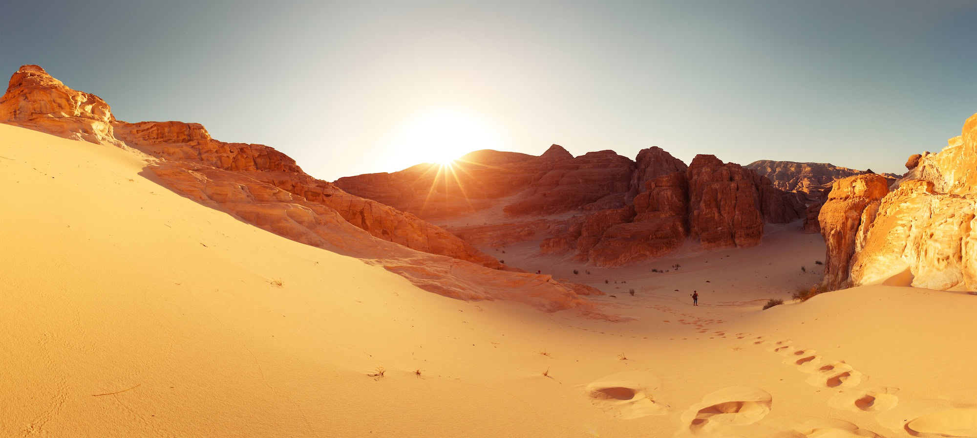 Sinai Desert Tours – Taking a Walk on the Wild Side