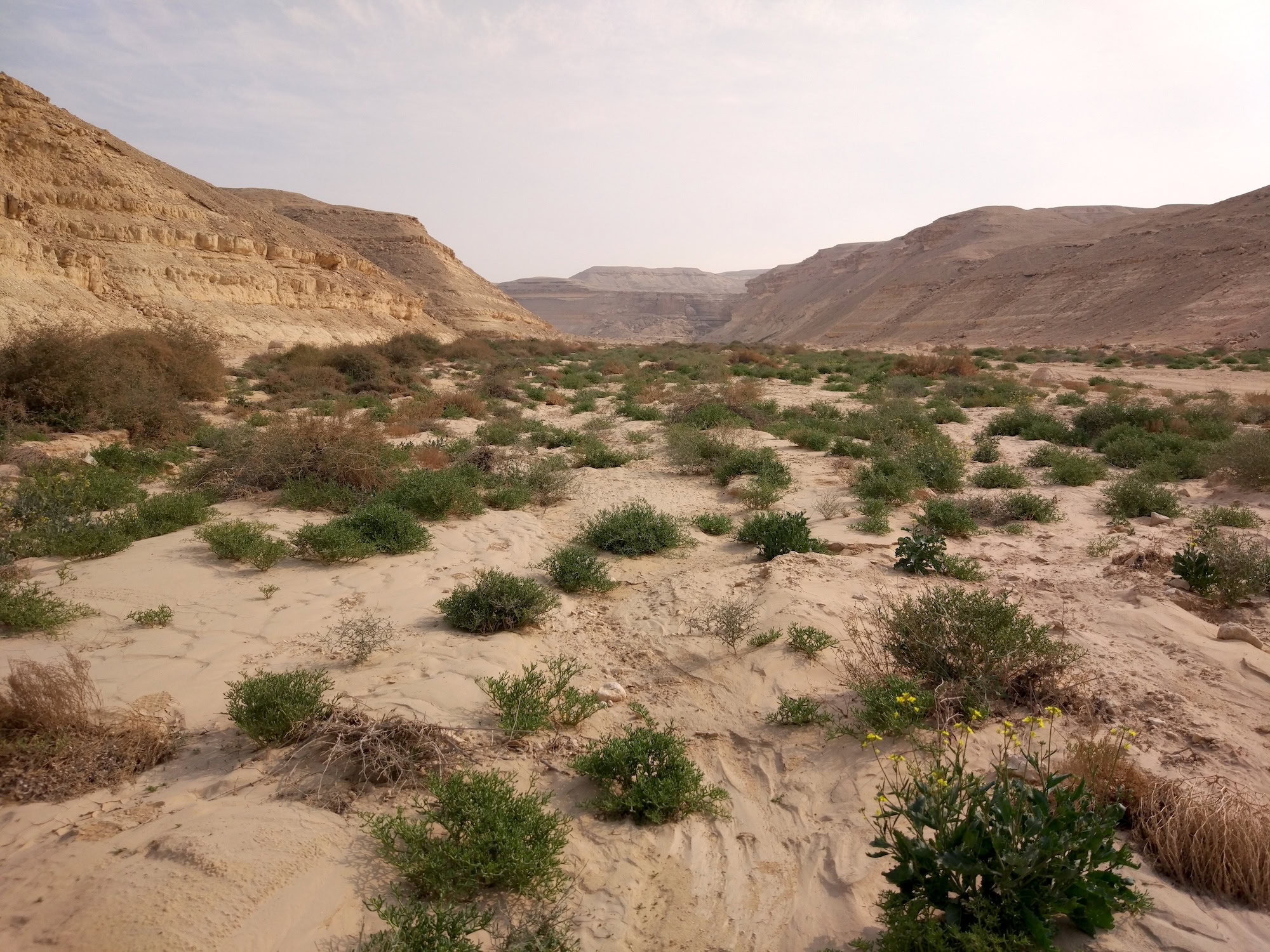 Wadi Degla – The Perfect Place to Escape the Chaos of Cairo