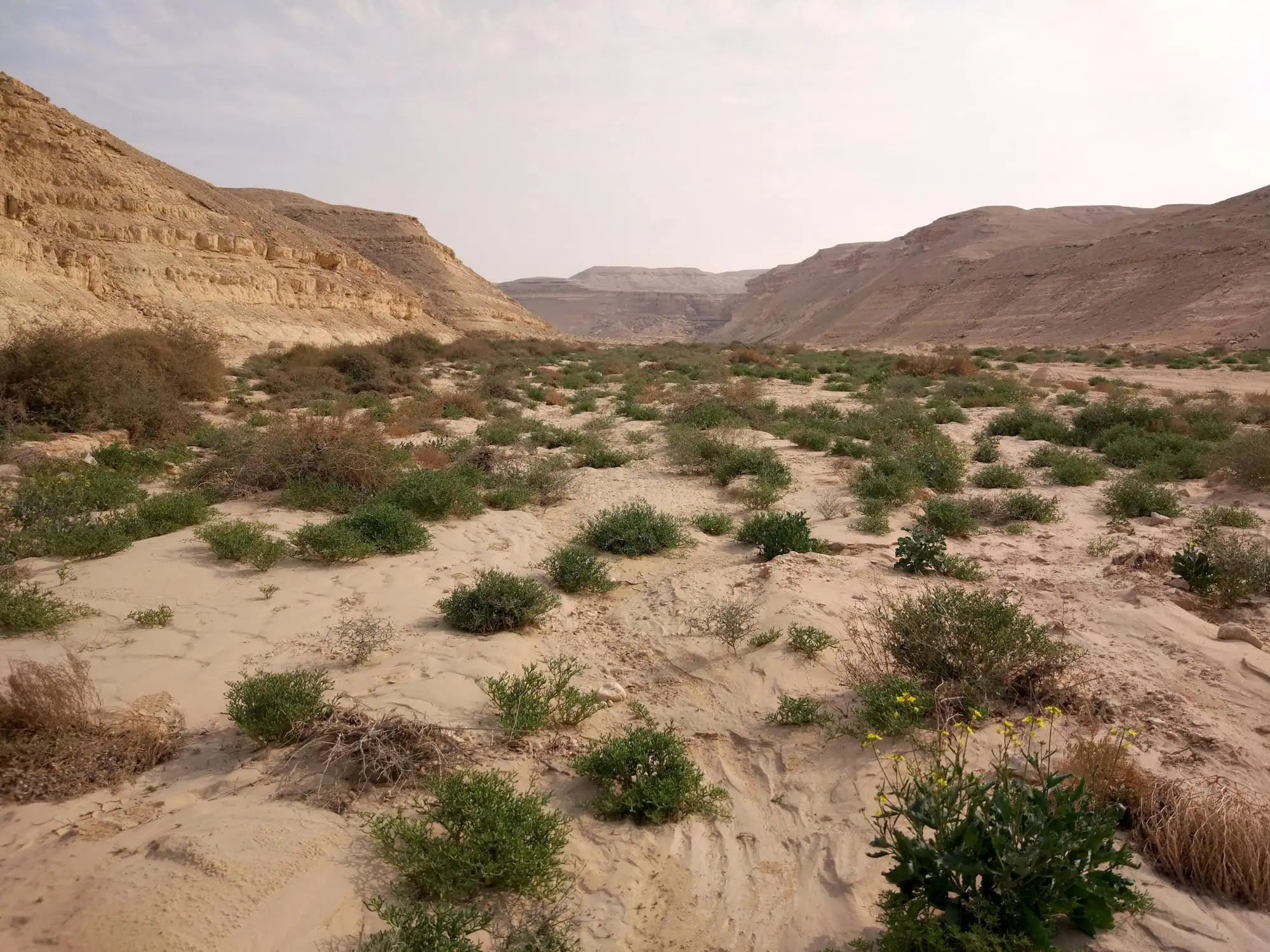 Wadi Degla – The Perfect Place to Escape the Chaos of Cairo