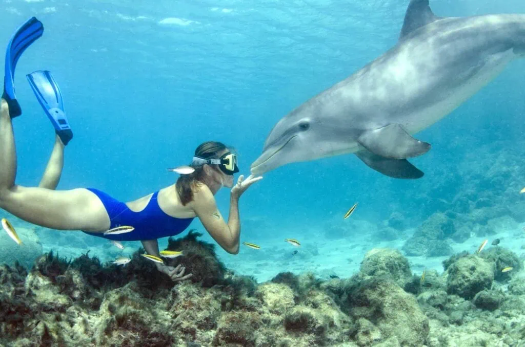 Woman snorkeling beside a dolphin in clear turquoise water