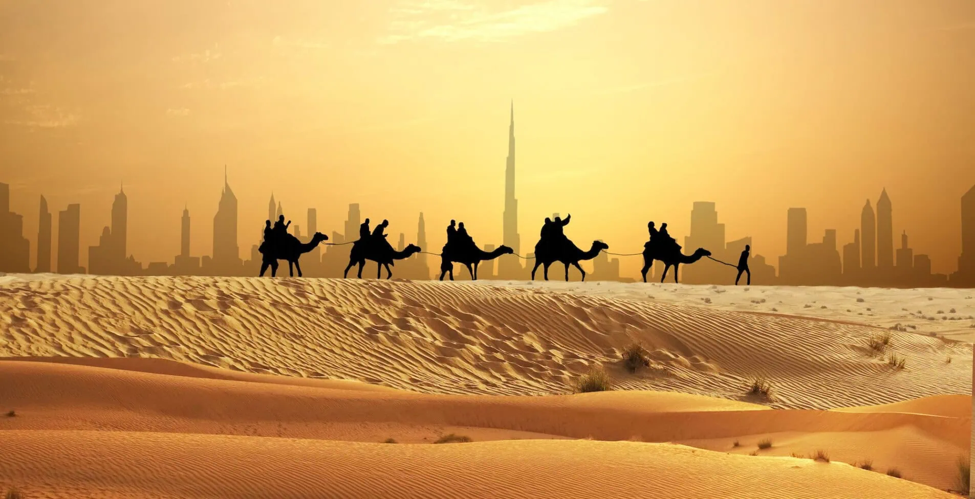 Dubi Dessert 1905x976 crop 52 33