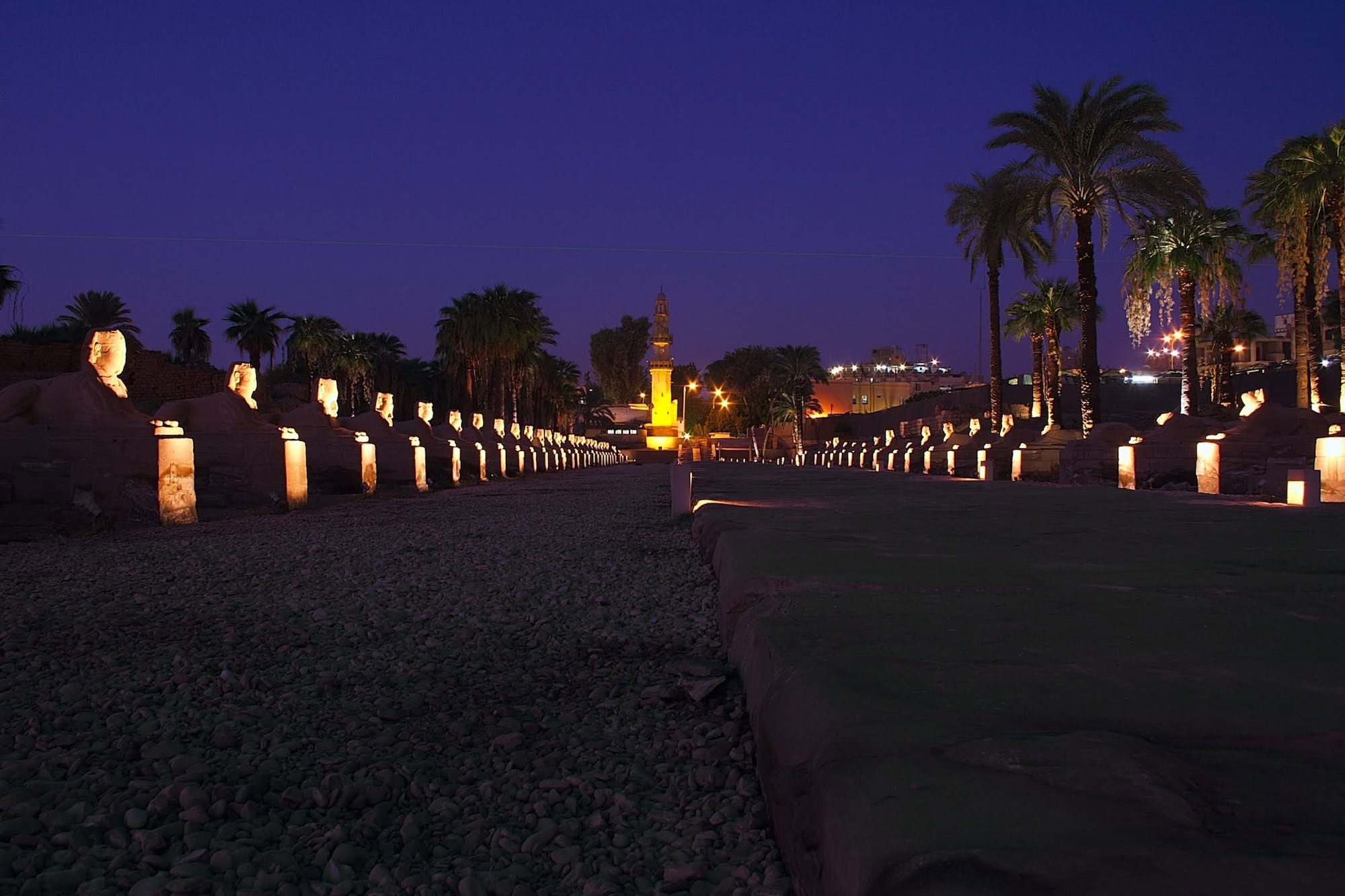 Illuminated sphinx statues and pathway at Karnak Temple during nighttime sound and light show