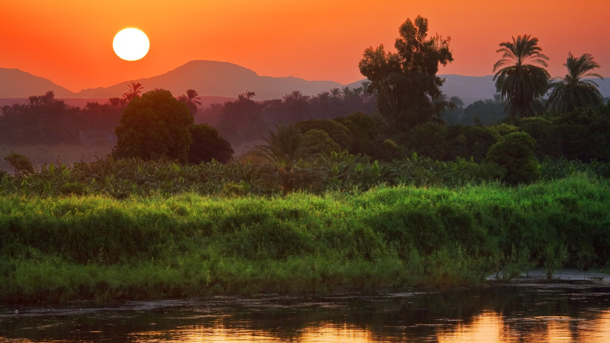 Paisaje sereno del río Nilo con palmeras y montañas bajo un cielo suave