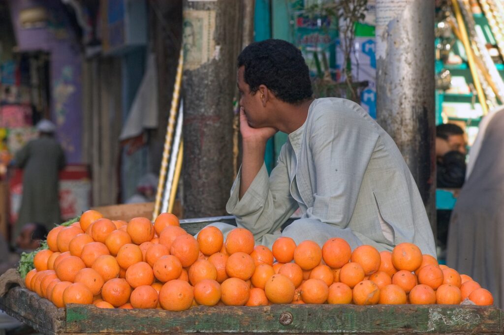 Egyptian street vendor selling fresh oranges from a cart along a roadside, Luxor