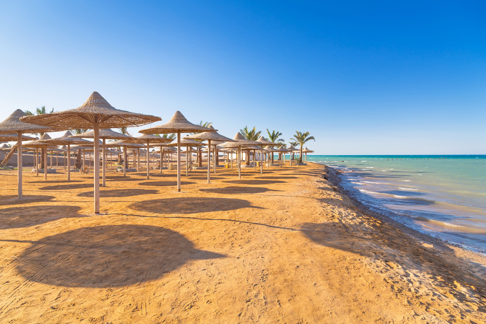 Egyptian parasols on the beach of Red Sea