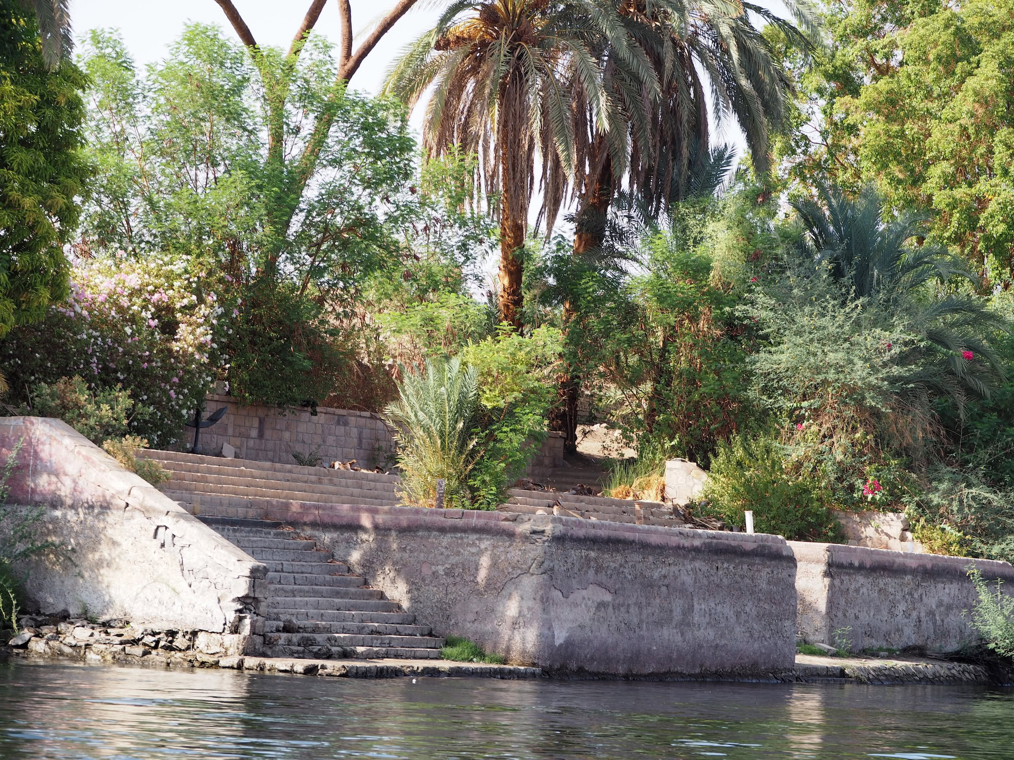 Ancient stone ruins and steps along the Nile River on Elephantine Island with lush vegetation