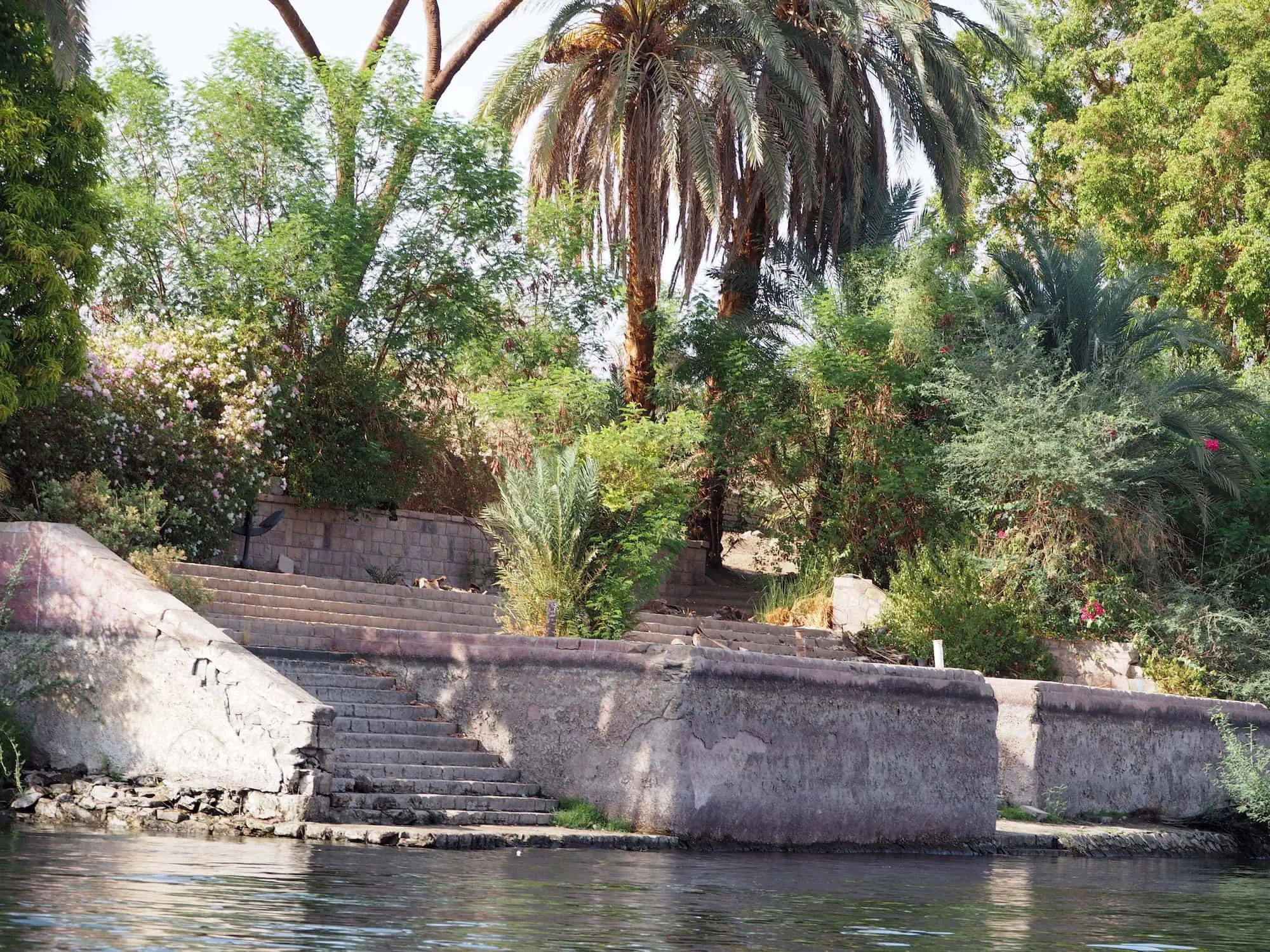Ancient stone ruins and steps along the Nile River on Elephantine Island with lush vegetation
