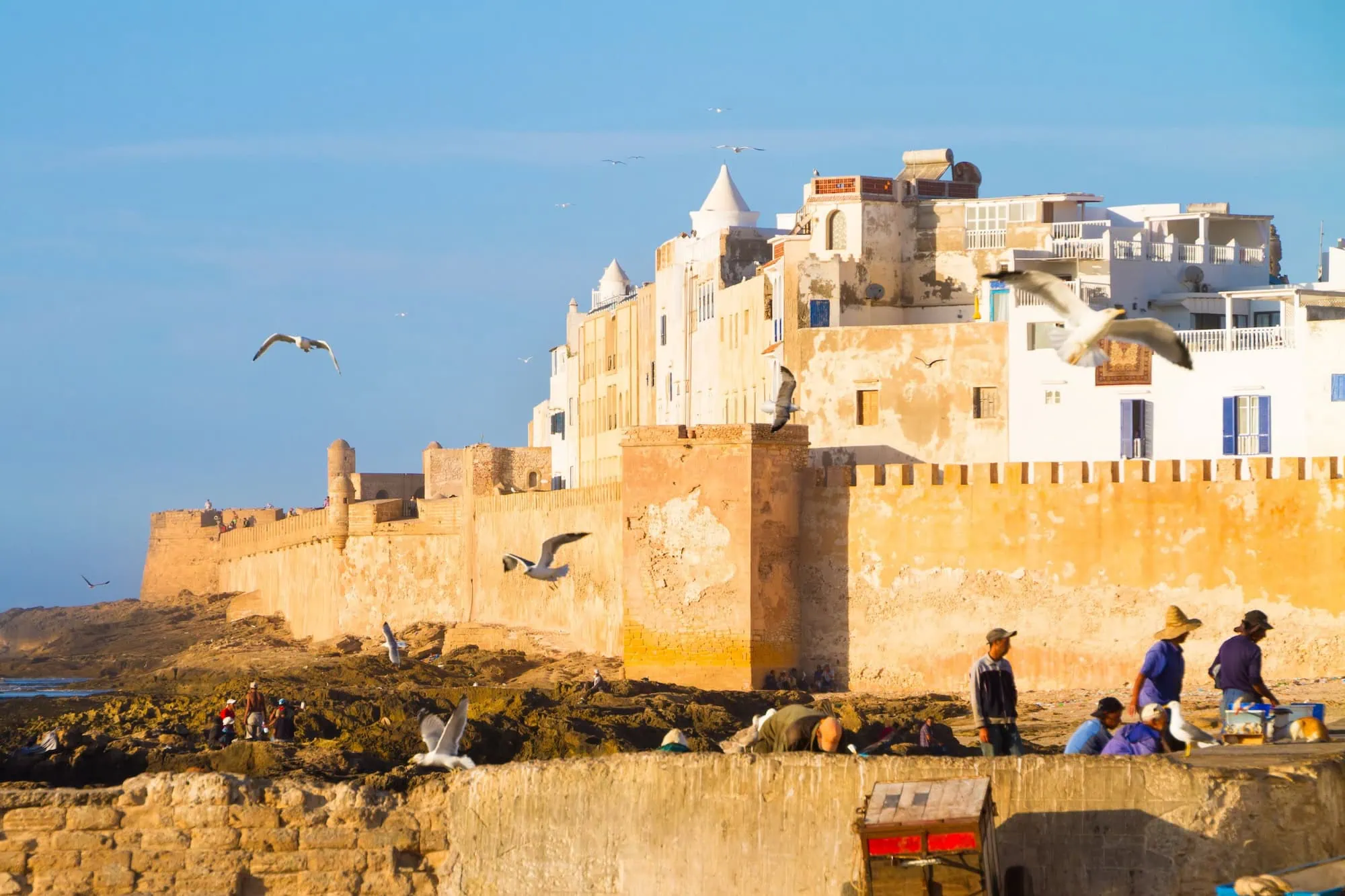 Families walking along Essaouira's historic coastal fortification with seagulls flying overhead