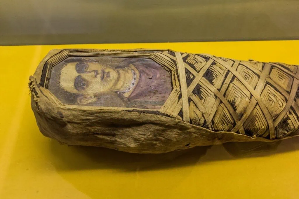 Fayum mummy portrait displayed on a museum wall with preserved painted facial features at the Egyptian Museum, Cairo