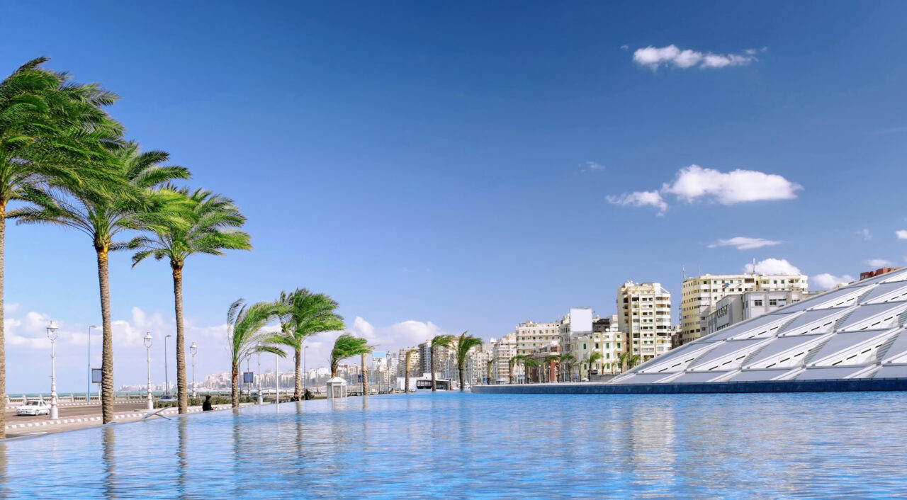 The New Library of Alexandria