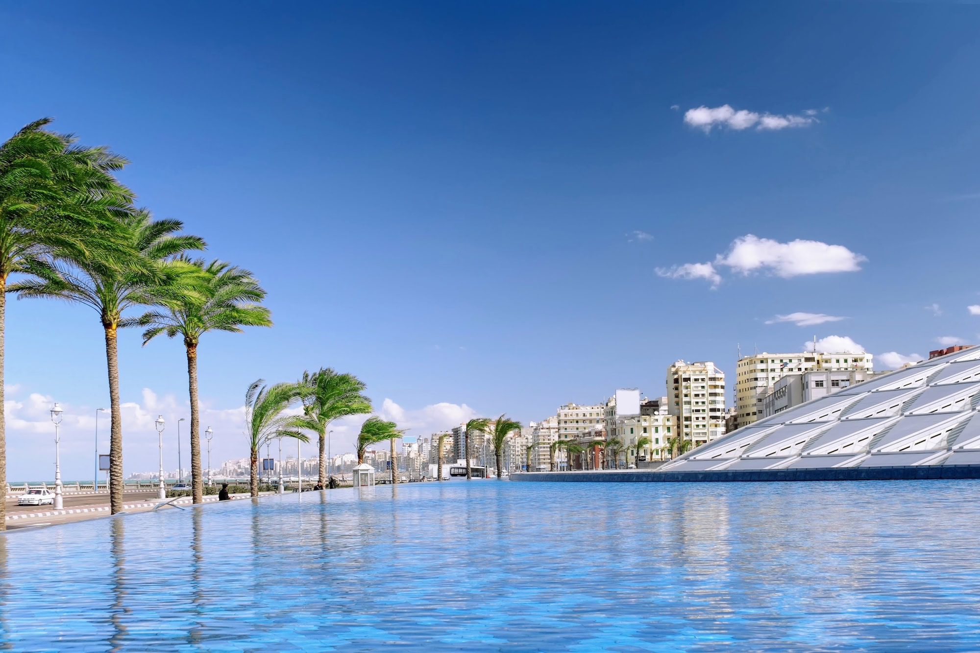 Edificio moderno de la Biblioteca de Alejandría con palmeras y características arquitectónicas