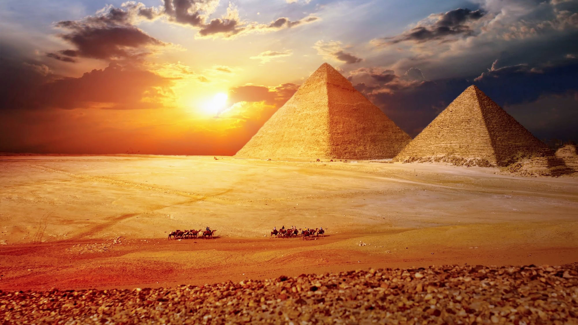 Camel caravan traveling across desert with pyramids of Giza in background