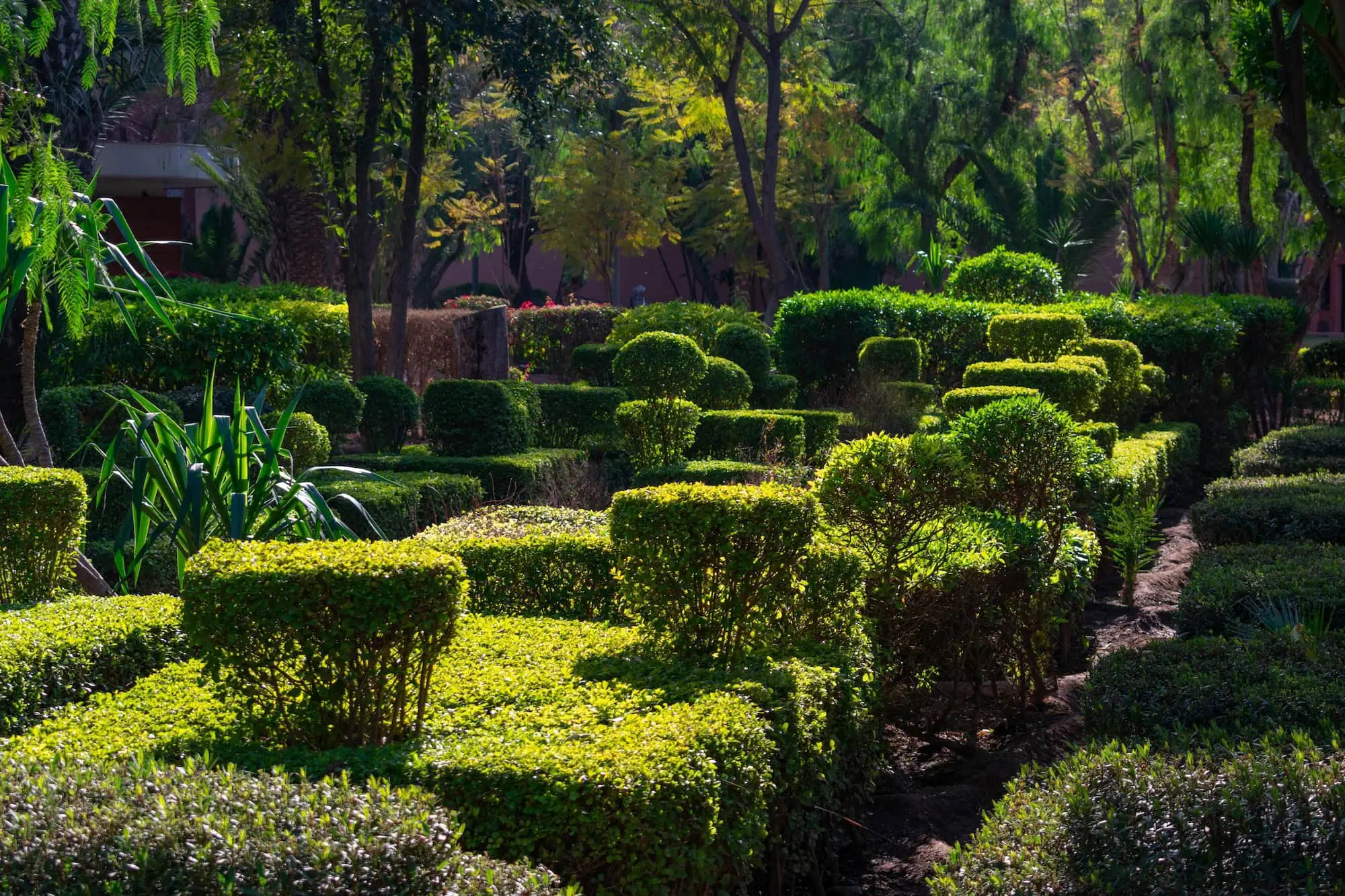 Geometric topiary hedges and manicured gardens in Cyber Park, Marrakech