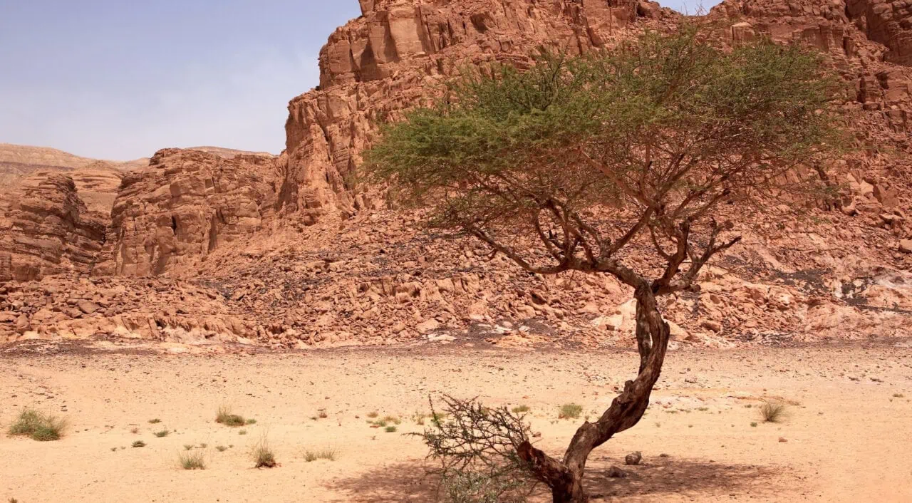 The Colored Canyon, Mountains of Sinai