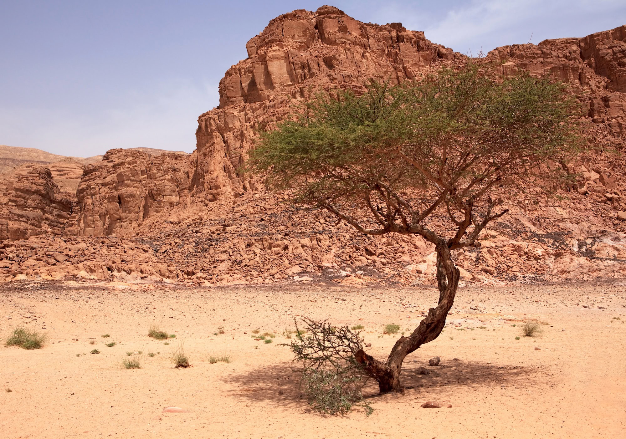 The Colored Canyon, Mountains of Sinai
