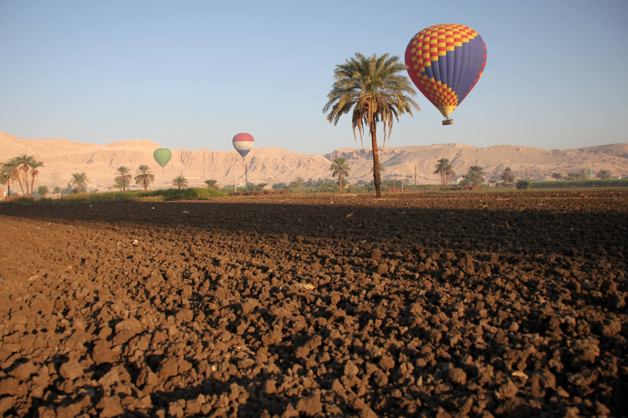 Hot air balloons floating over Valley of the Kings with palm trees and desert landscape