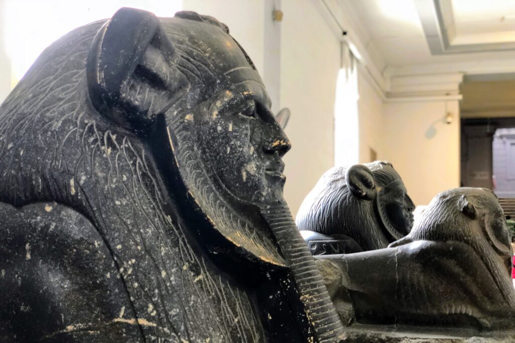 Cairo's Egyptian Museum of Antiquities: Essential Highlights