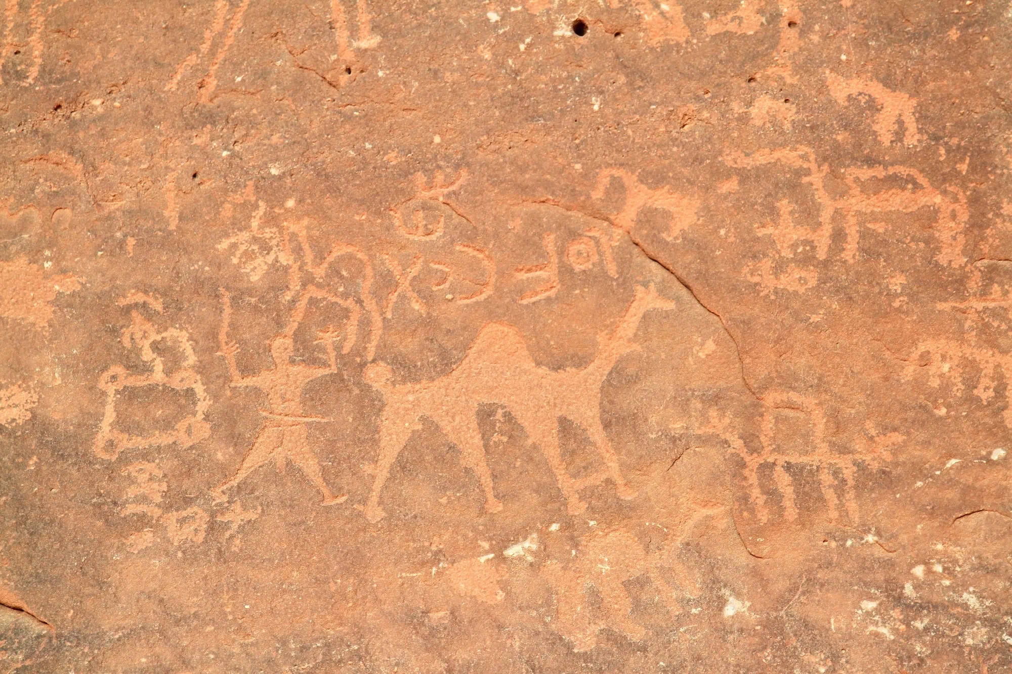 Ancient petroglyphs carved into red sandstone rock at Wadi Rum UNESCO World Heritage site