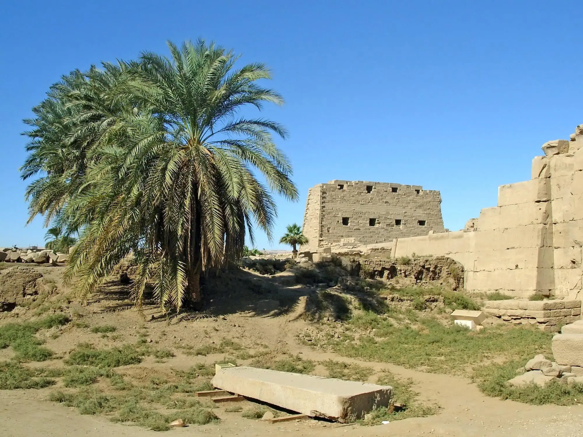 Ancient Egyptian temple ruins at Karnak with sandy terrain and palm trees