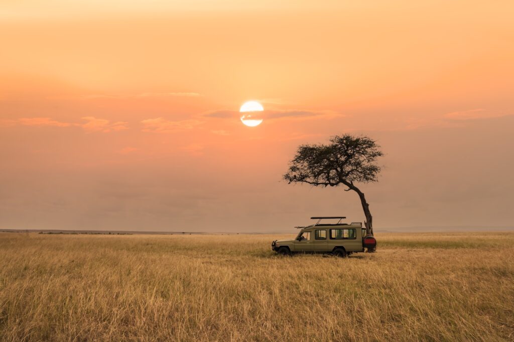 Maasai Mara National Reserve, Kenya
