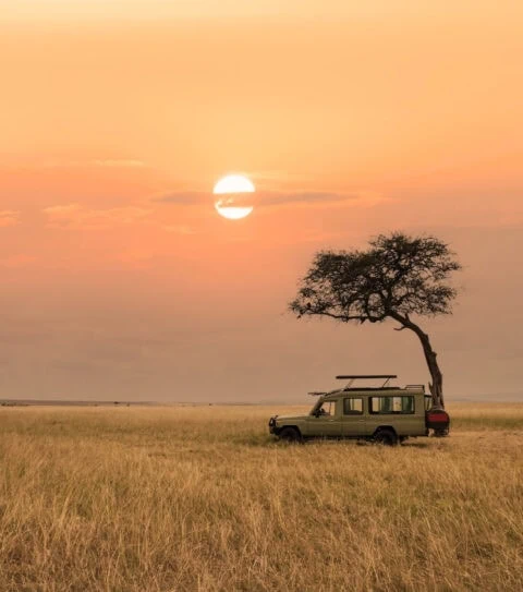 Egypt and Africa Tours