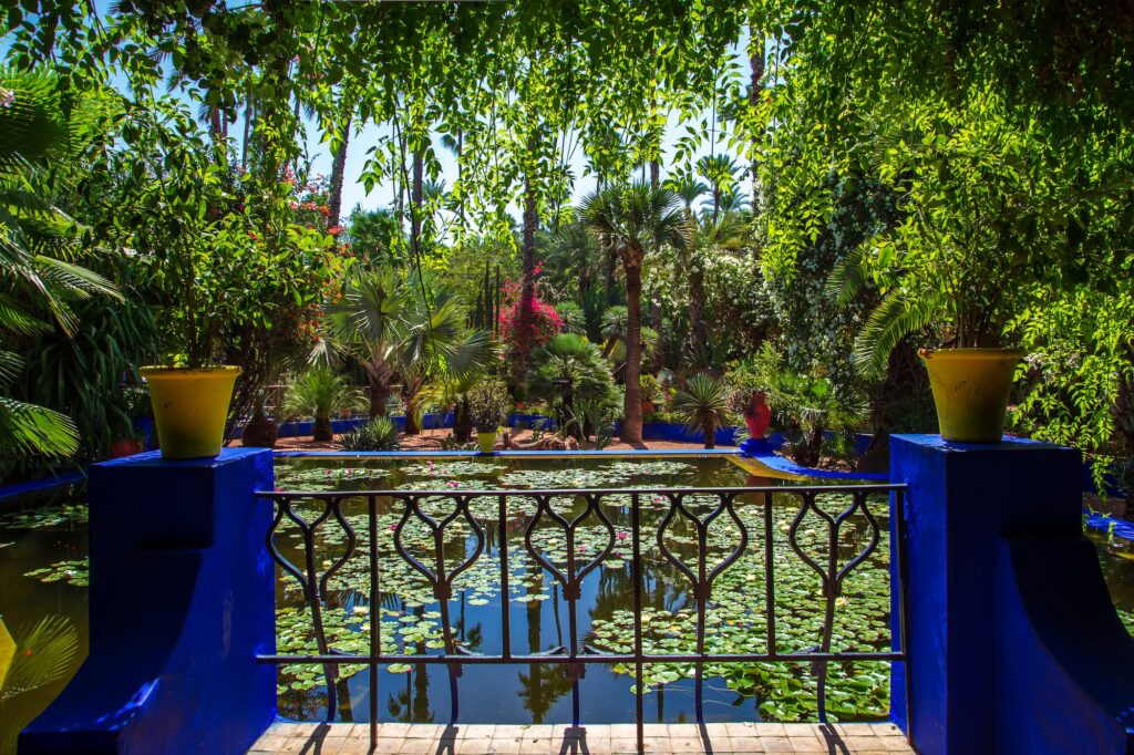 Majorelle Garden in Marrakech 1