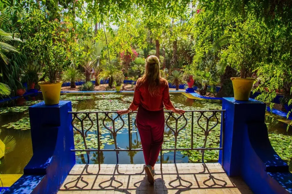 Majorelle Garden in Marrakech. An oasis in the middle of a bustling city. Marrakech, Morocco