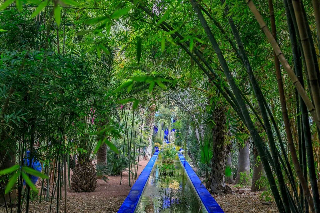 Majorelle gardens a beautiful urban garden in marrakesh city 2