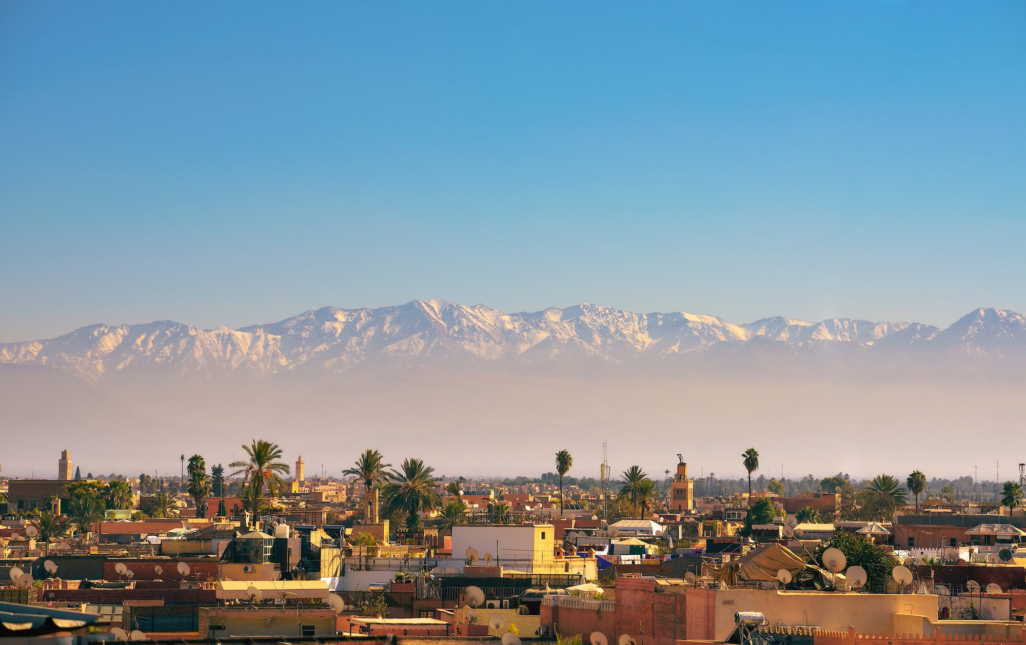 Marrakech cityscape with Atlas Mountains in the background showing traditional architecture and palm trees