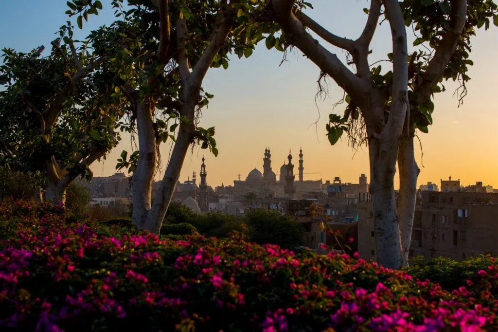 Mohamed Ali Pasha Castle from Al Azhar Park in Cairo