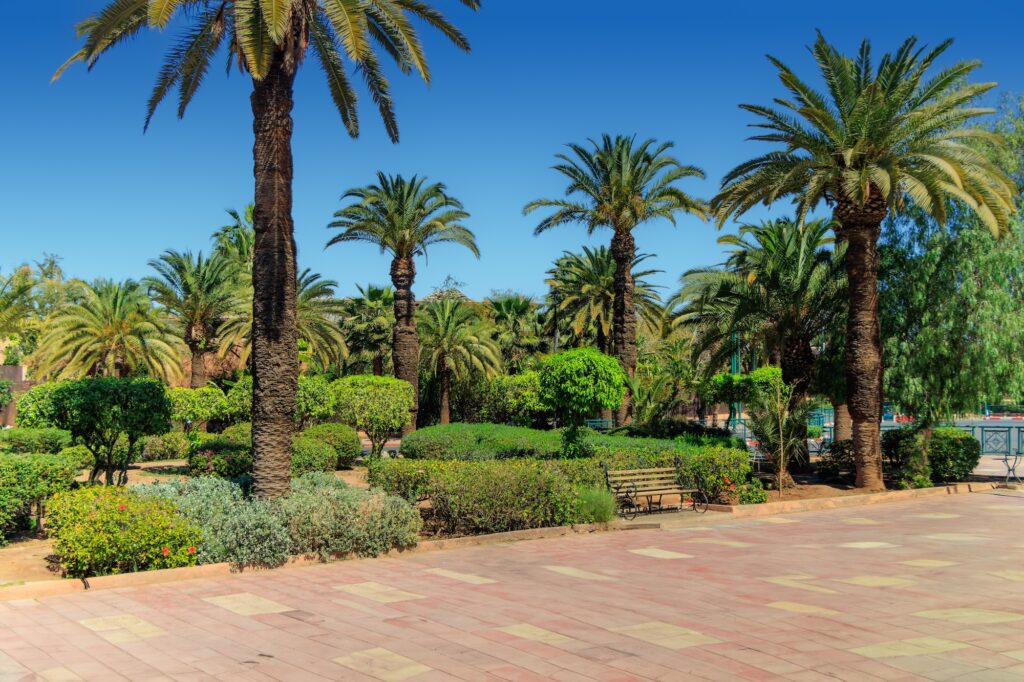 Morocco Marrakesh aerial view over Menara Garden