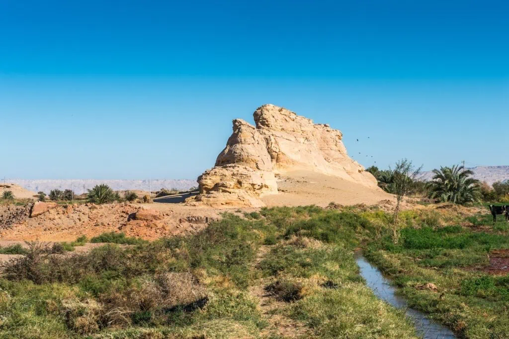 Nature in the Dakhla Oasis, Western Desert