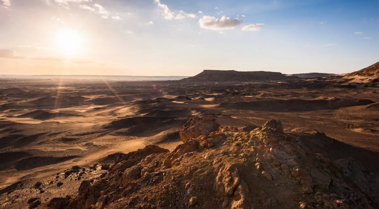Bahariya Oasis, Sahara Desert