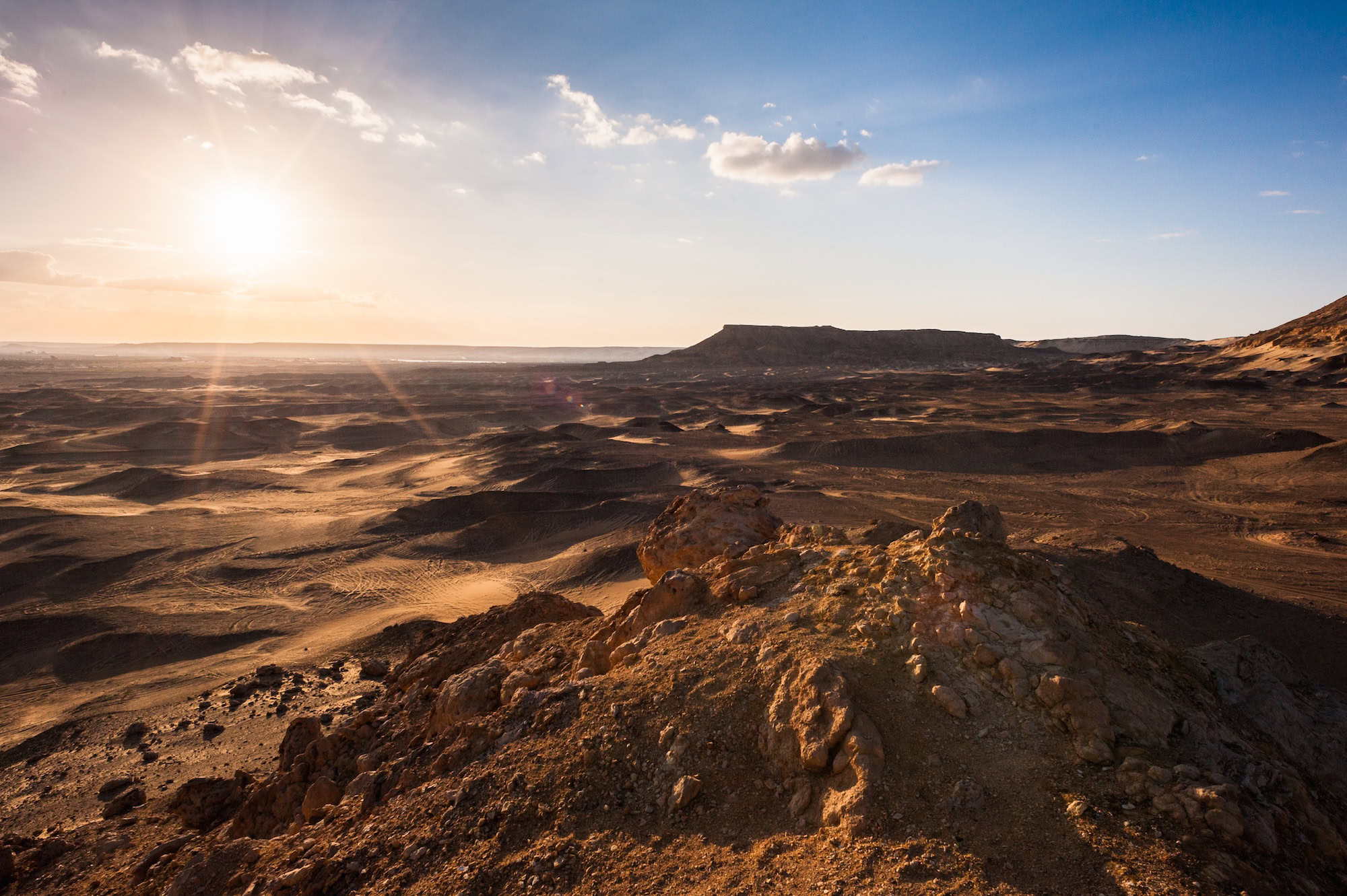 Bahariya Oasis, Sahara Desert