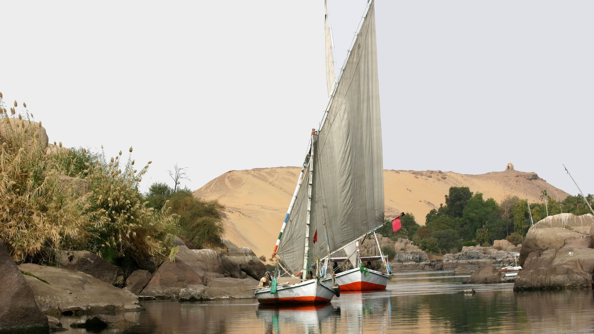 Traditional felucca sailboat navigating the Nile River in Egypt