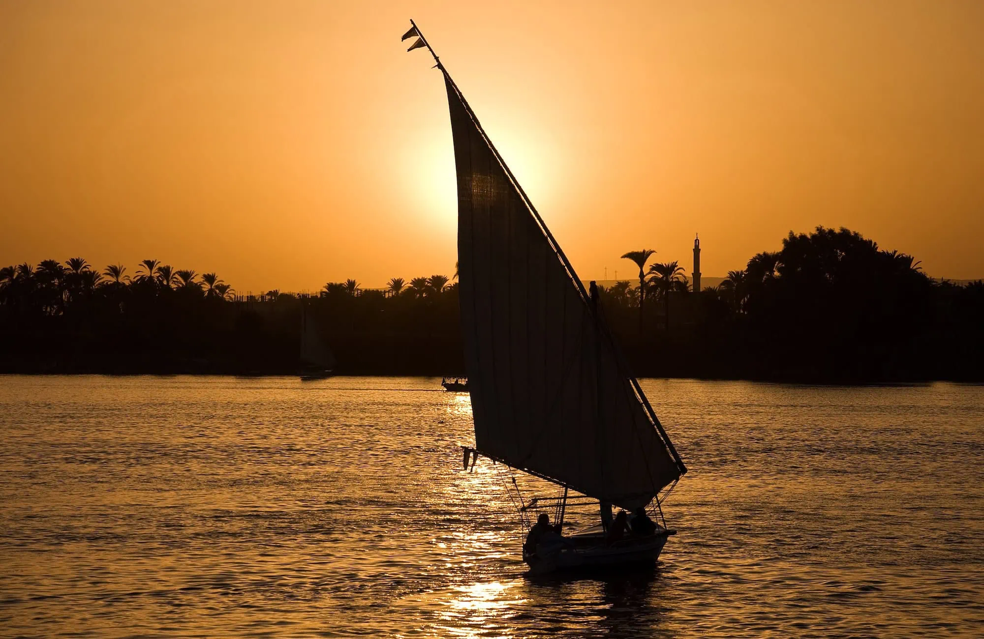 Silhouette of felucca sailboat on Nile River at sunrise with palm trees