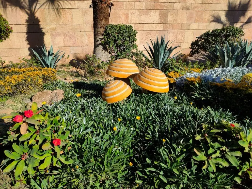 Nubian Museum Garden in Aswan, Egypt