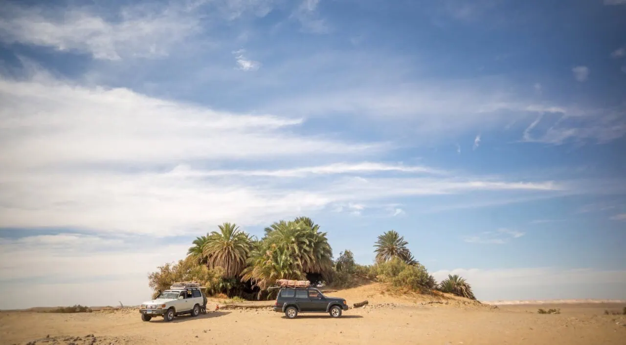 Oasis At Desert Bahariya Egypt