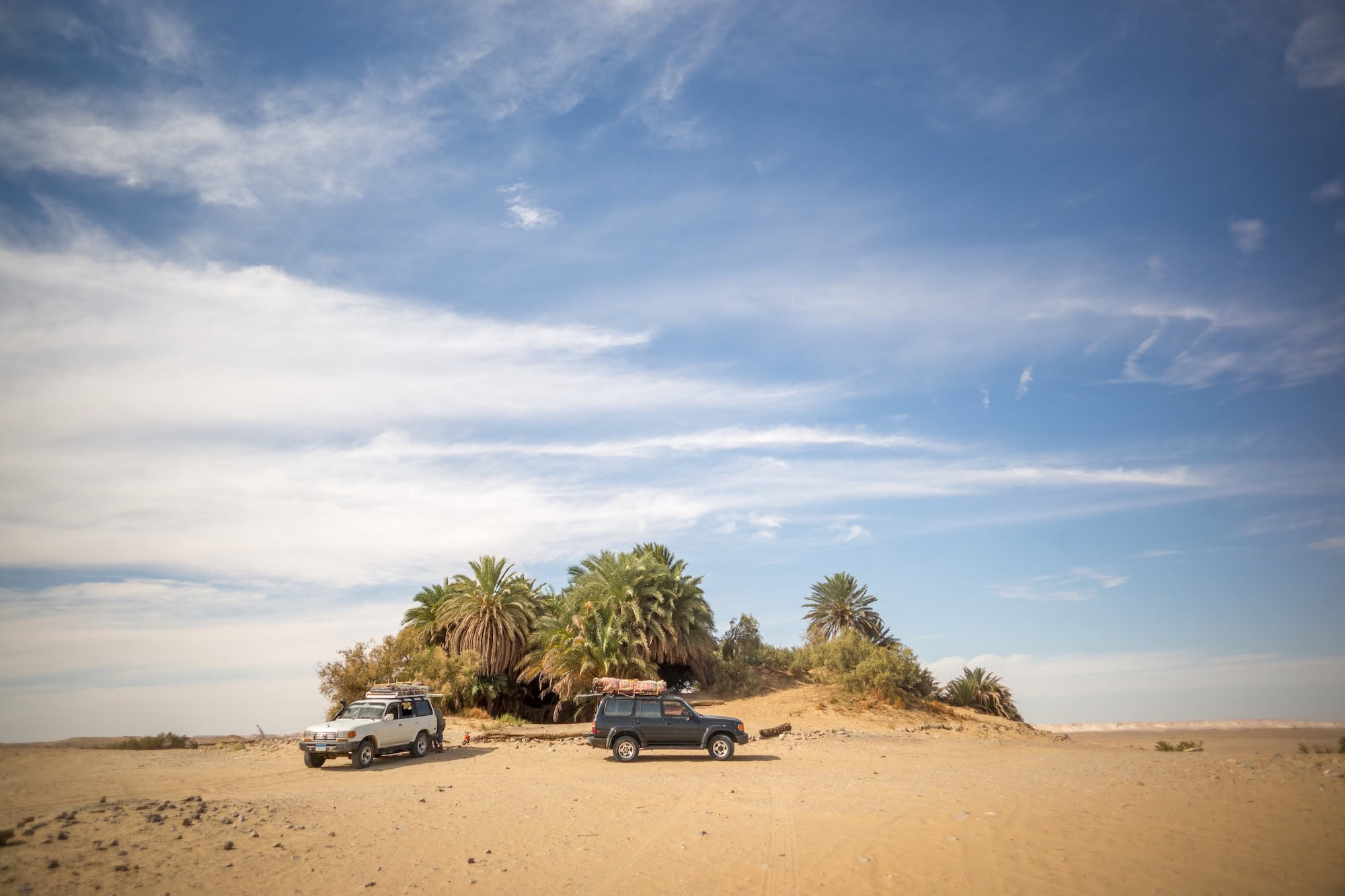 Oasis At Desert Bahariya Egypt