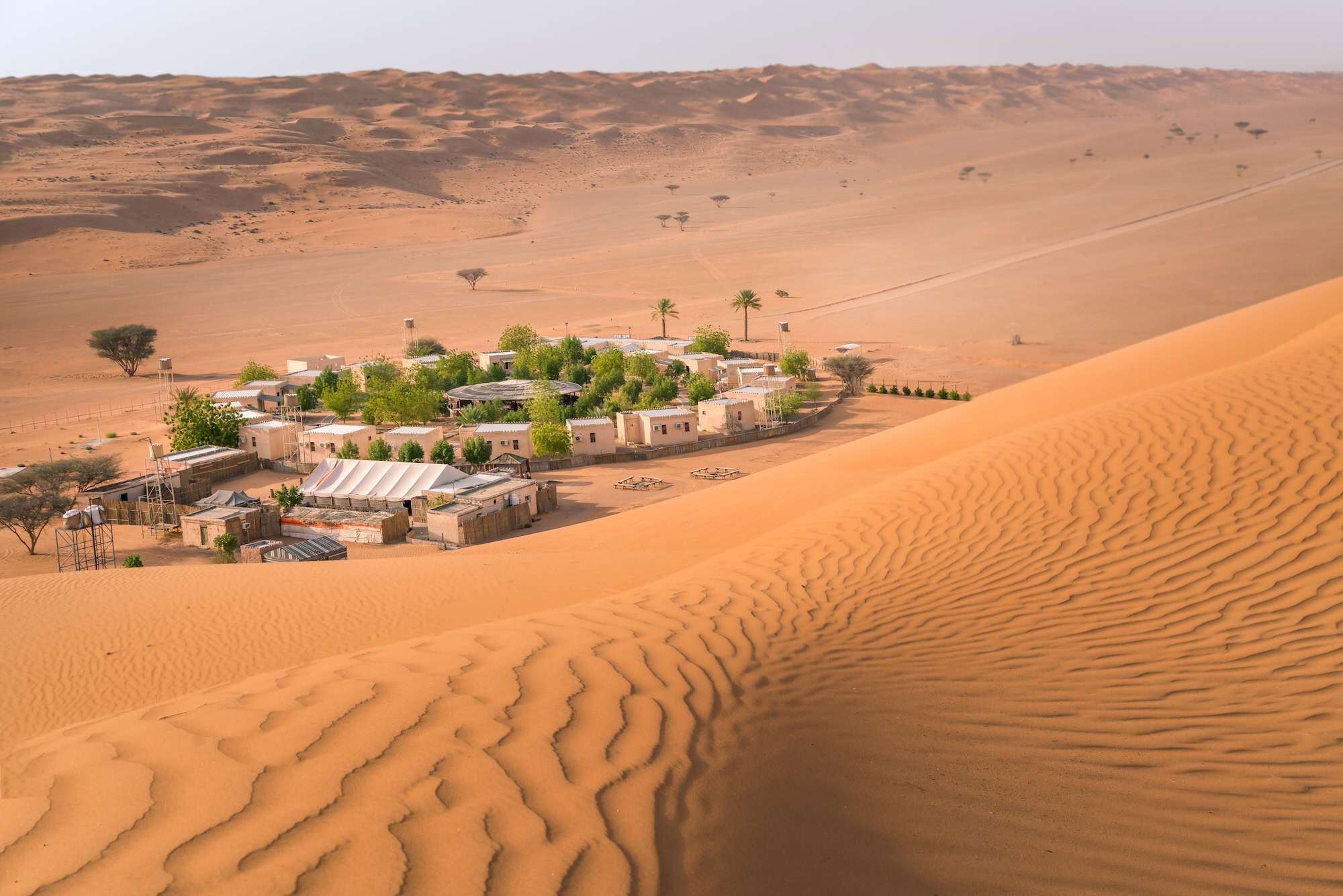 Desert oasis village with palm trees and traditional buildings surrounded by sand dunes